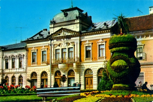1289-1 - Lugoj. Muzeul